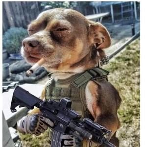 Meet your Posher, Jackie